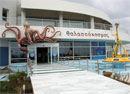 CretAquarium �������� ������
